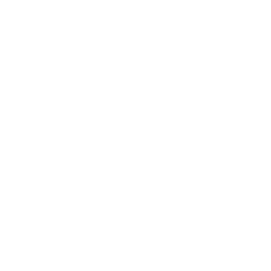 Vave Logo